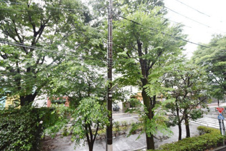 【展望】 | 物件のお問い合わせは、 ０１２０－７００－９６８までお気軽にどうぞ！
バルコニーからの眺望