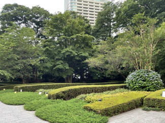 【展望】