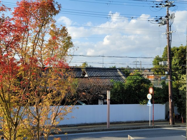 京町エンジェルIIの展望|紅葉の綺麗な街路樹と国宝・彦根城が望めますよ♪