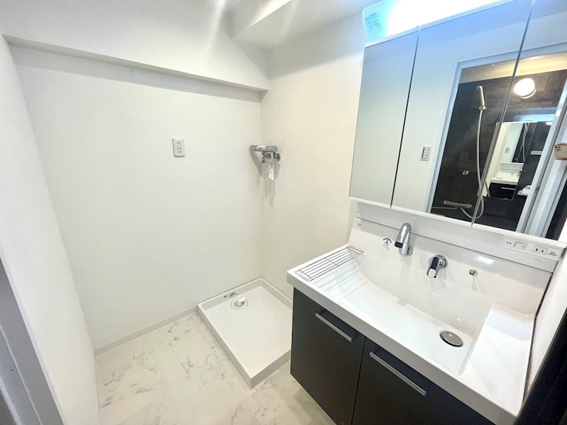 グレイスヴィラ阿部の洗面所