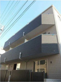 Ever Forestの画像