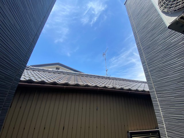 ローズピークの展望|ローズピーク