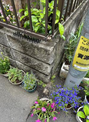 【前面道路含む現地写真】 | 台東区根岸４丁目の売地