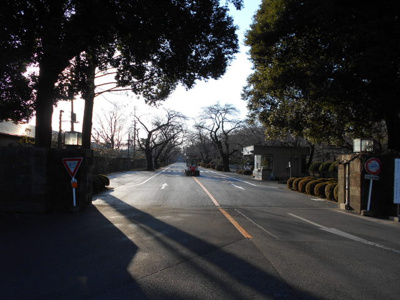 ★国際基督教大学まで850m★
