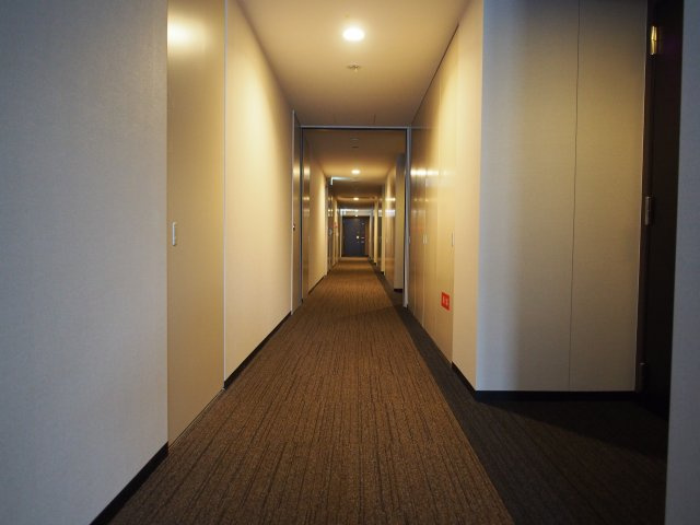 阿波座ライズタワーズ　フラッグ４６のロビー