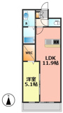 LagurusⅡの画像
