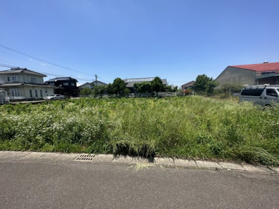 【外観】 | 三股町蓼池 売土地