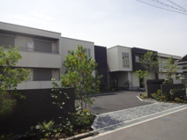 シャーメゾン　ジンの画像