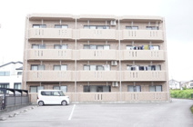 ジェンティーレの画像