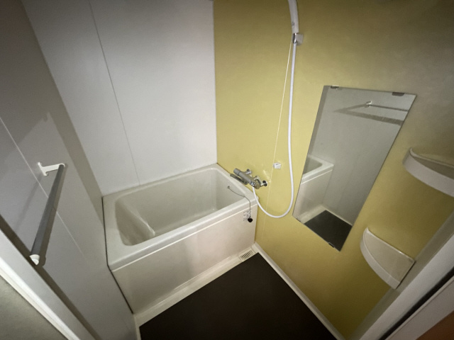 ヴィアノ灘泉通の浴室