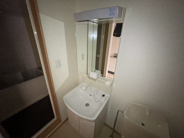 ヴィアノ灘泉通の洗面所