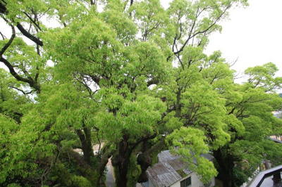 【展望】 | アトレ―ユダイワ