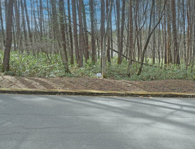 開田高原保健休養地①