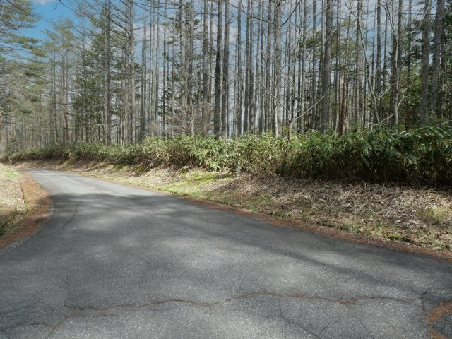 開田高原保健休養地②の前面道路含む現地写真