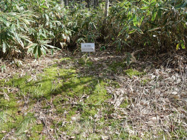 開田高原保健休養地②のその他