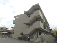 グランドールの画像