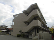 グランドールの画像