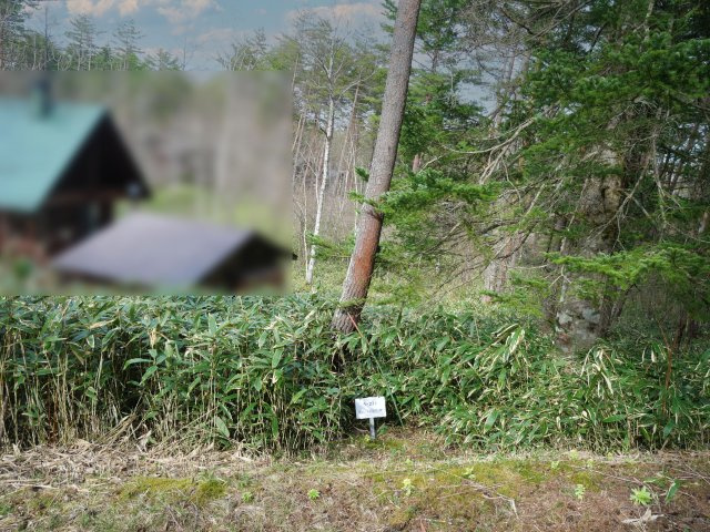 開田高原保健休養地③の外観