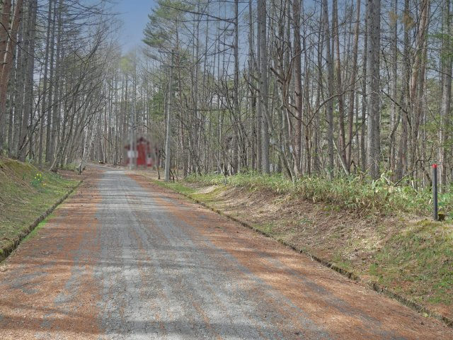 開田高原保健休養地④