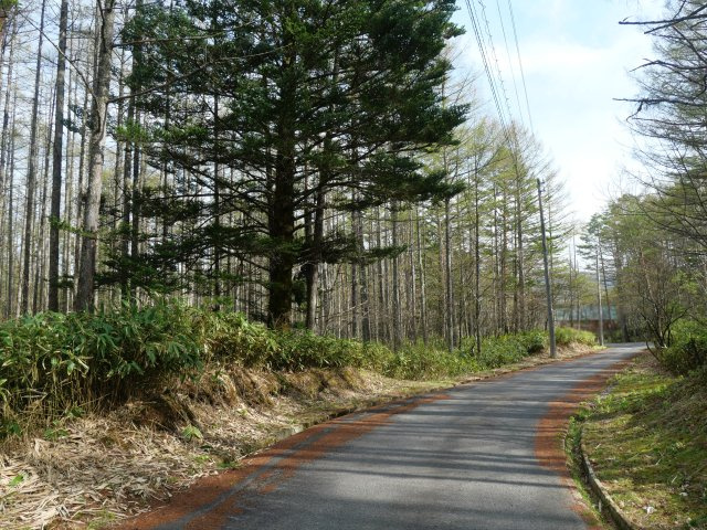 開田高原保健休養地⑥の前面道路含む現地写真