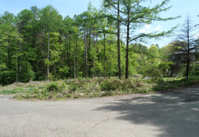 うぐいすの森別荘地①の前面道路含む現地写真