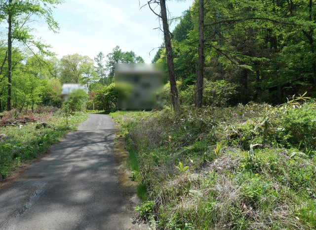 うぐいすの森別荘地①の前面道路含む現地写真