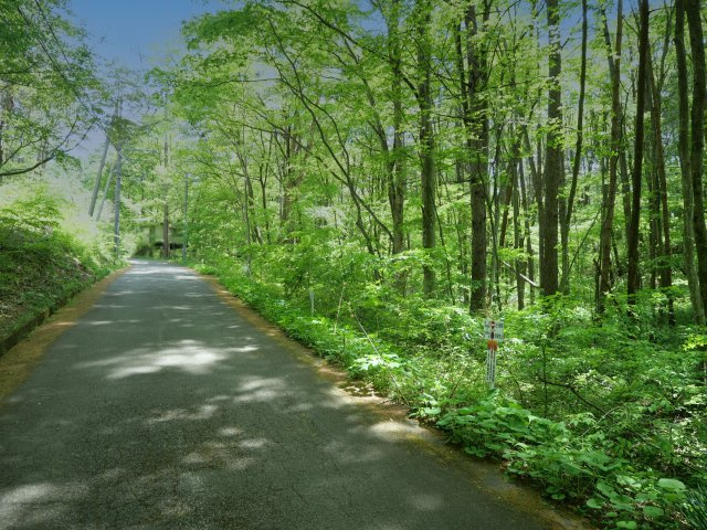 うぐいすの森別荘地②