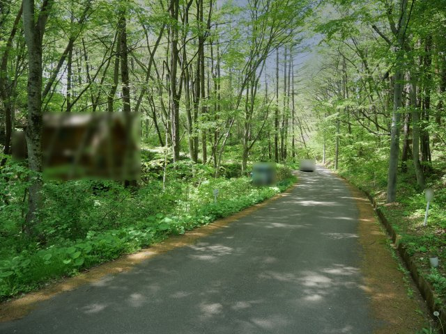 うぐいすの森別荘地②の前面道路含む現地写真