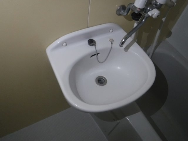 さくら元住吉の洗面所