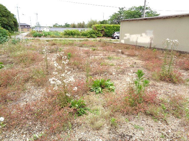  | 坂戸市善能寺　売地