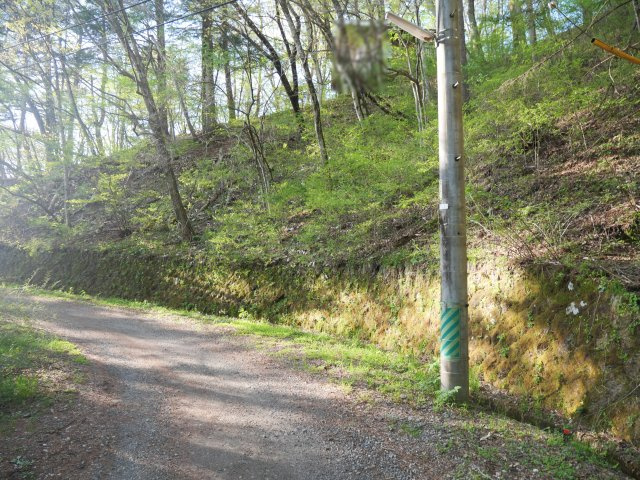 せせらぎの森①の前面道路含む現地写真