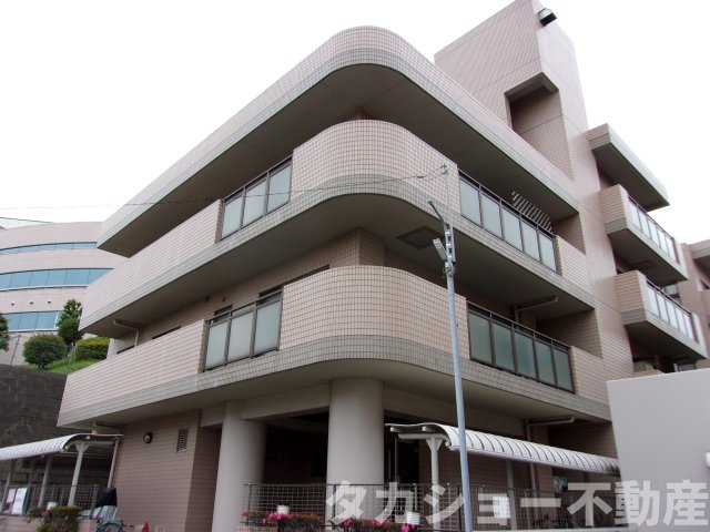 コスモ蘇我