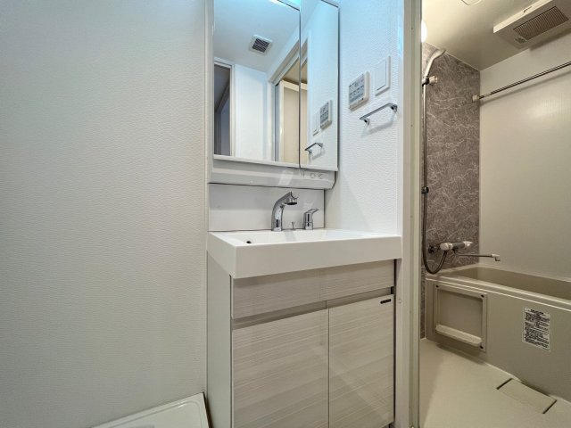 S-RESIDENCE難波大国町Deuxの独立洗面台