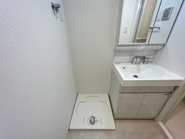 S-RESIDENCE難波大国町Deuxの洗面所