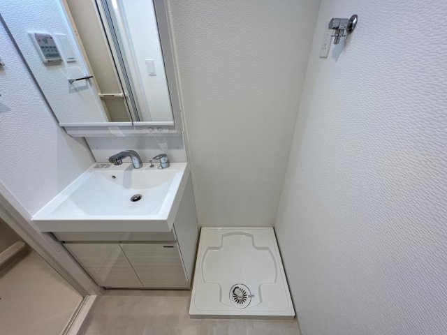 S-RESIDENCE難波大国町Deuxの洗面所