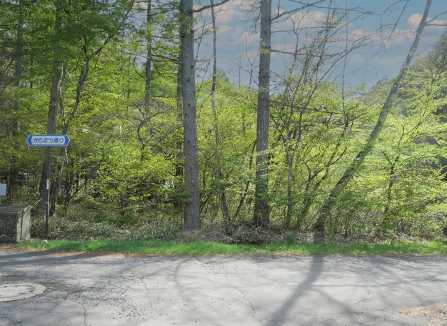 軽井沢レイクニュータウン①