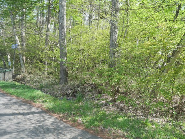 軽井沢レイクニュータウン①の外観