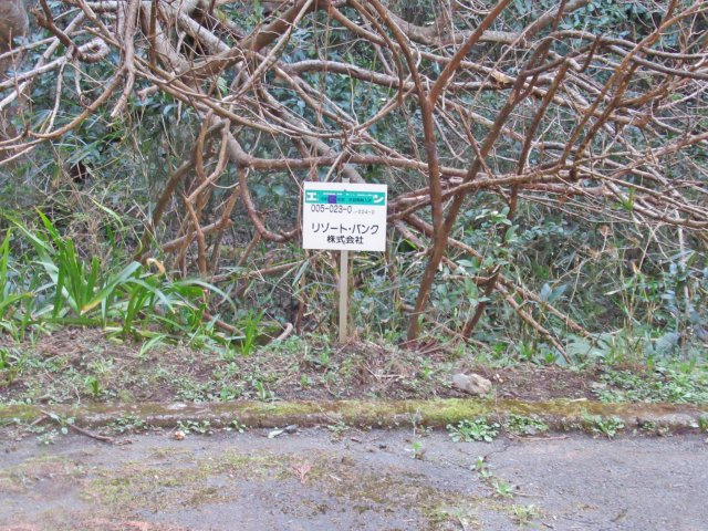 伊豆エメラルドタウン⑫の外観