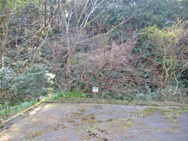 伊豆エメラルドタウン⑫の前面道路含む現地写真