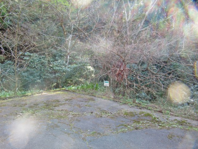 伊豆エメラルドタウン⑫の前面道路含む現地写真