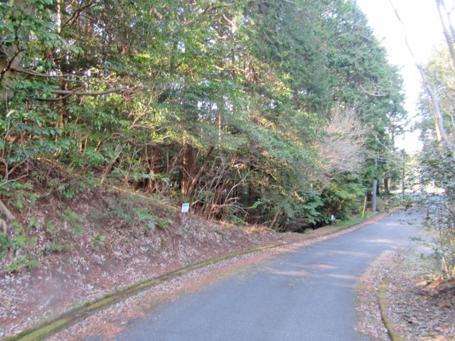 伊豆エメラルドタウン⑬の前面道路含む現地写真
