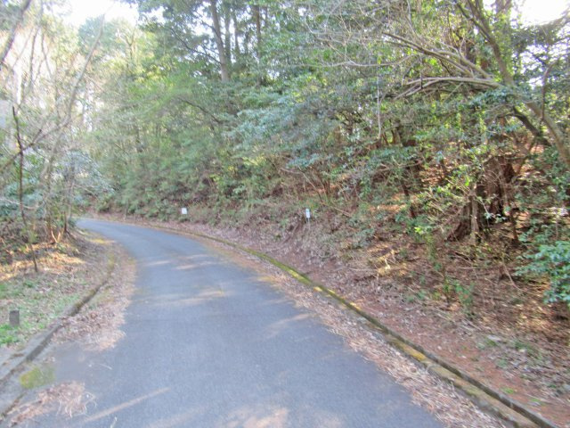 伊豆エメラルドタウン⑬の前面道路含む現地写真