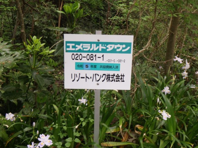 伊豆エメラルドタウン⑭のその他