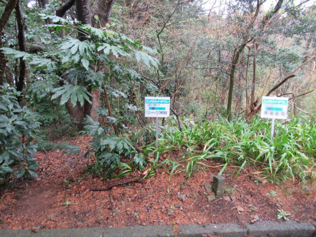 伊豆エメラルドタウン⑭の外観