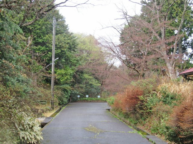 伊豆エメラルドタウン⑭の前面道路含む現地写真