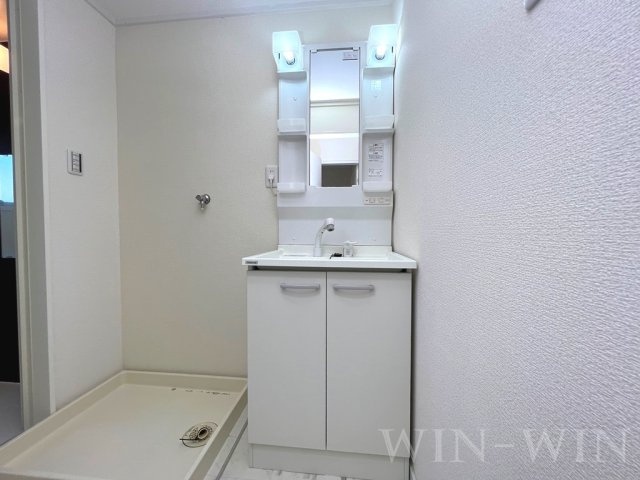 グリーンコーポ草間の洗面所
