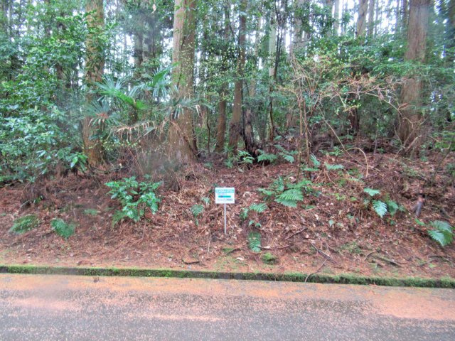 伊豆エメラルドタウン⑮の外観