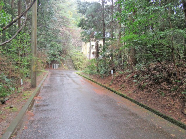 伊豆エメラルドタウン⑮の前面道路含む現地写真