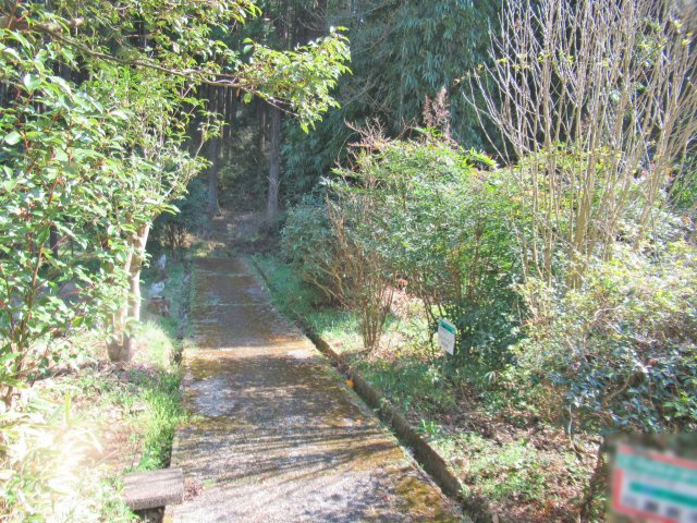 伊豆エメラルドタウン⑰の前面道路含む現地写真