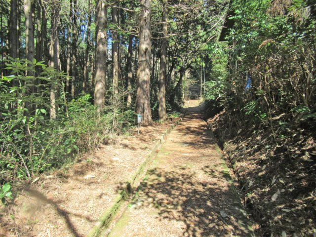 伊豆エメラルドタウン⑱の前面道路含む現地写真